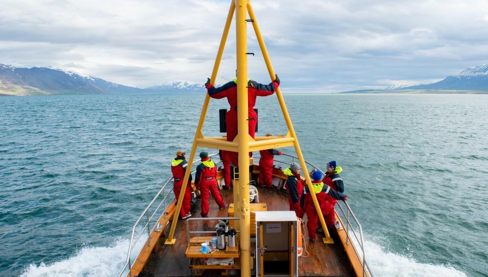 UNE 学生 on Whale Watch in 阿库雷里,冰岛